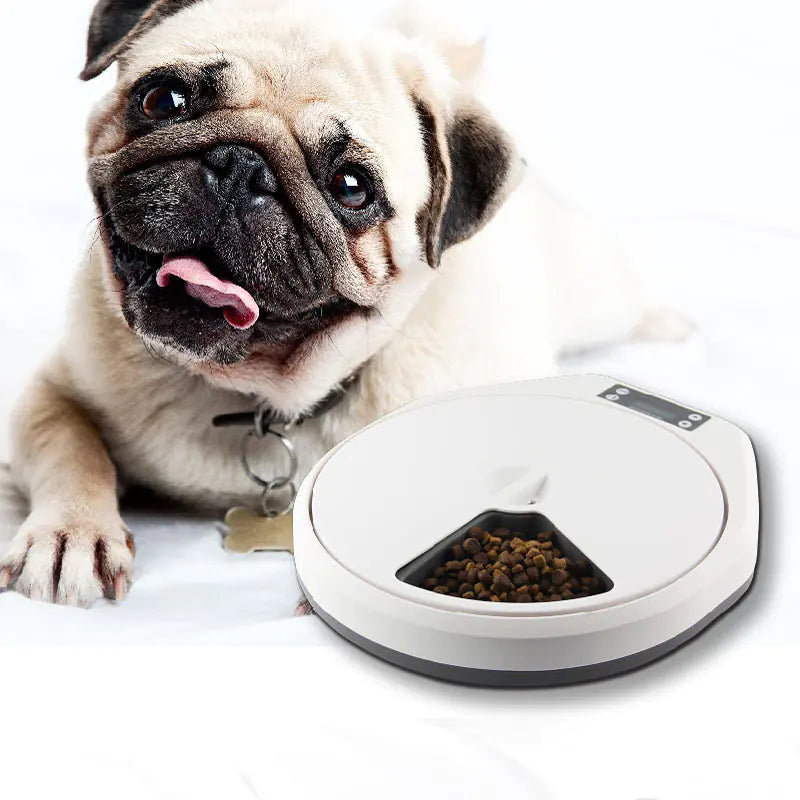 Automatic Multi-Grid Pet Feeder for Cats and Dogs